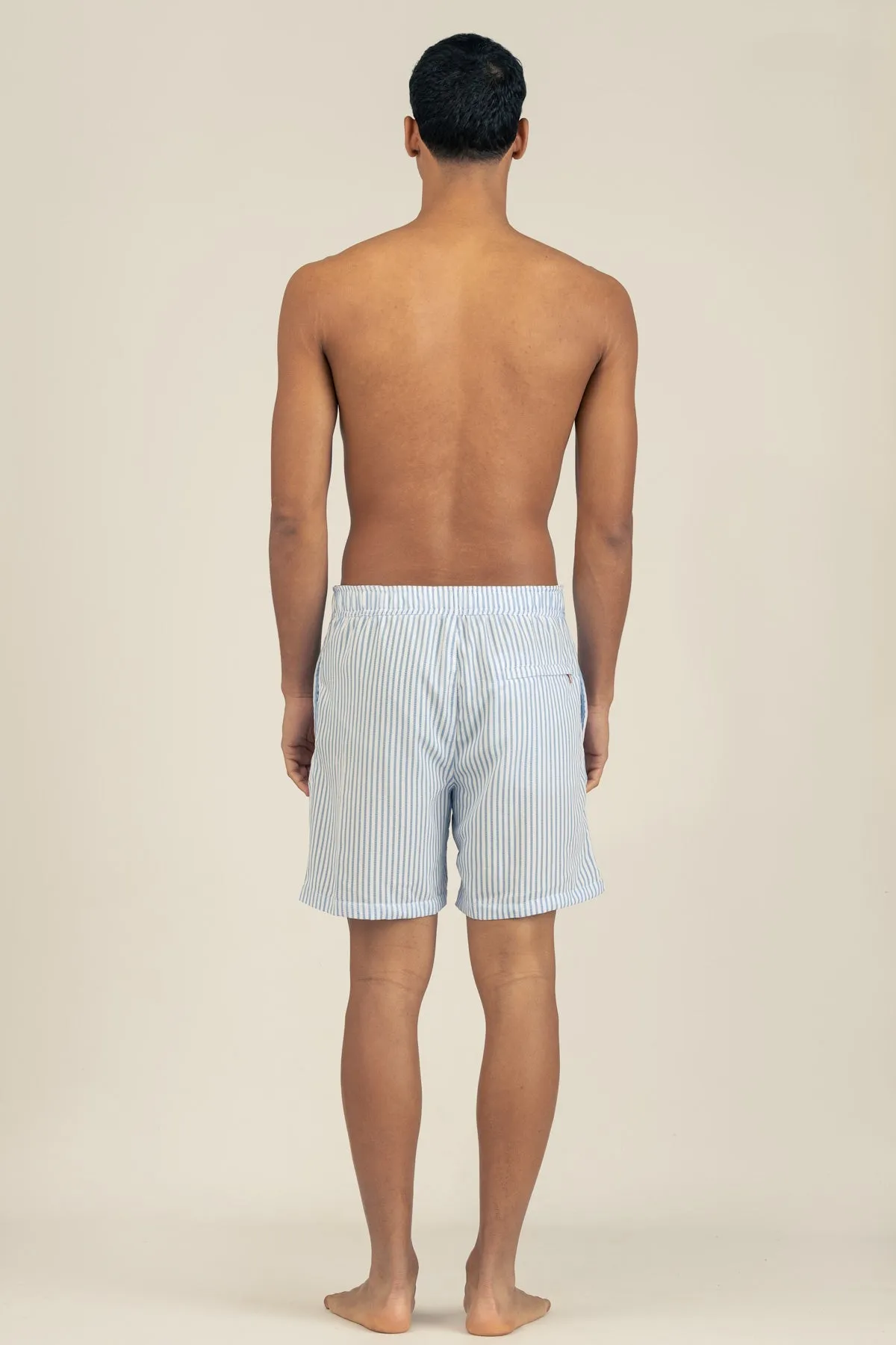 The Josh Swim Trunks in Seersucker Stripe